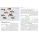 Handbook of the Mammals of the World, Vol. 7: Rodents II