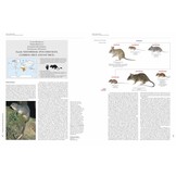 Handbook of the Mammals of the World, Vol. 7: Rodents II