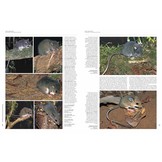 Handbook of the Mammals of the World, Vol. 7: Rodents II