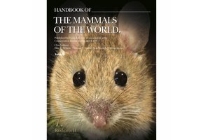Handbook of the Mammals of the World, Vol. 7: Rodents II