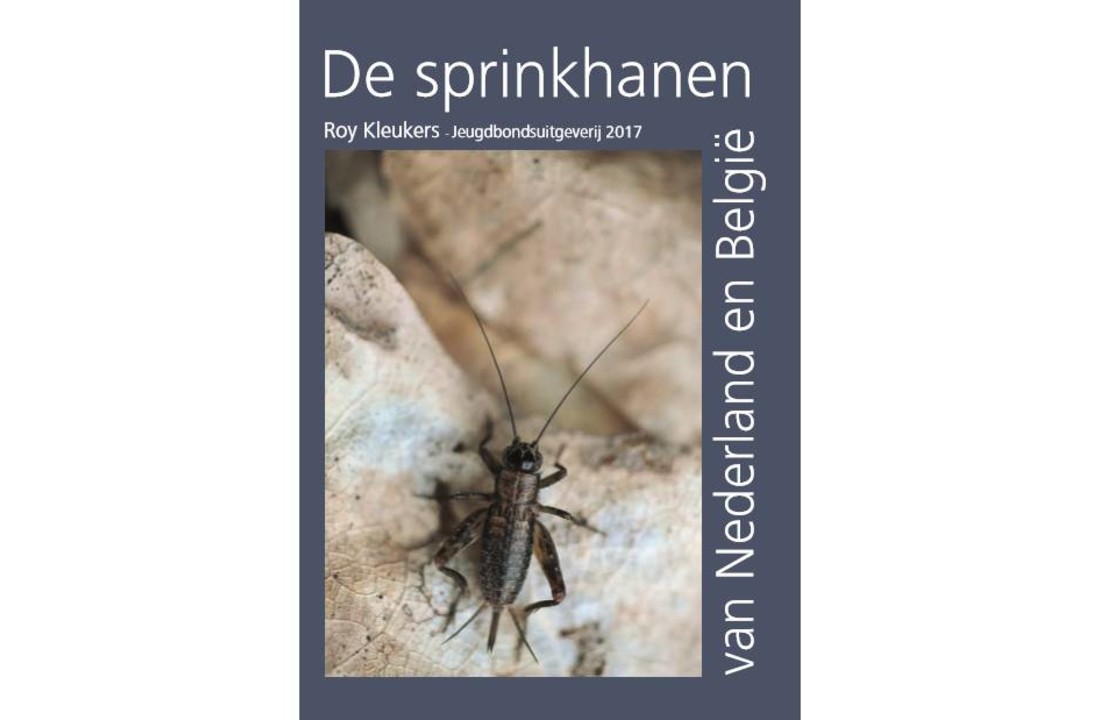 De Sprinkhanen van Nederland en België