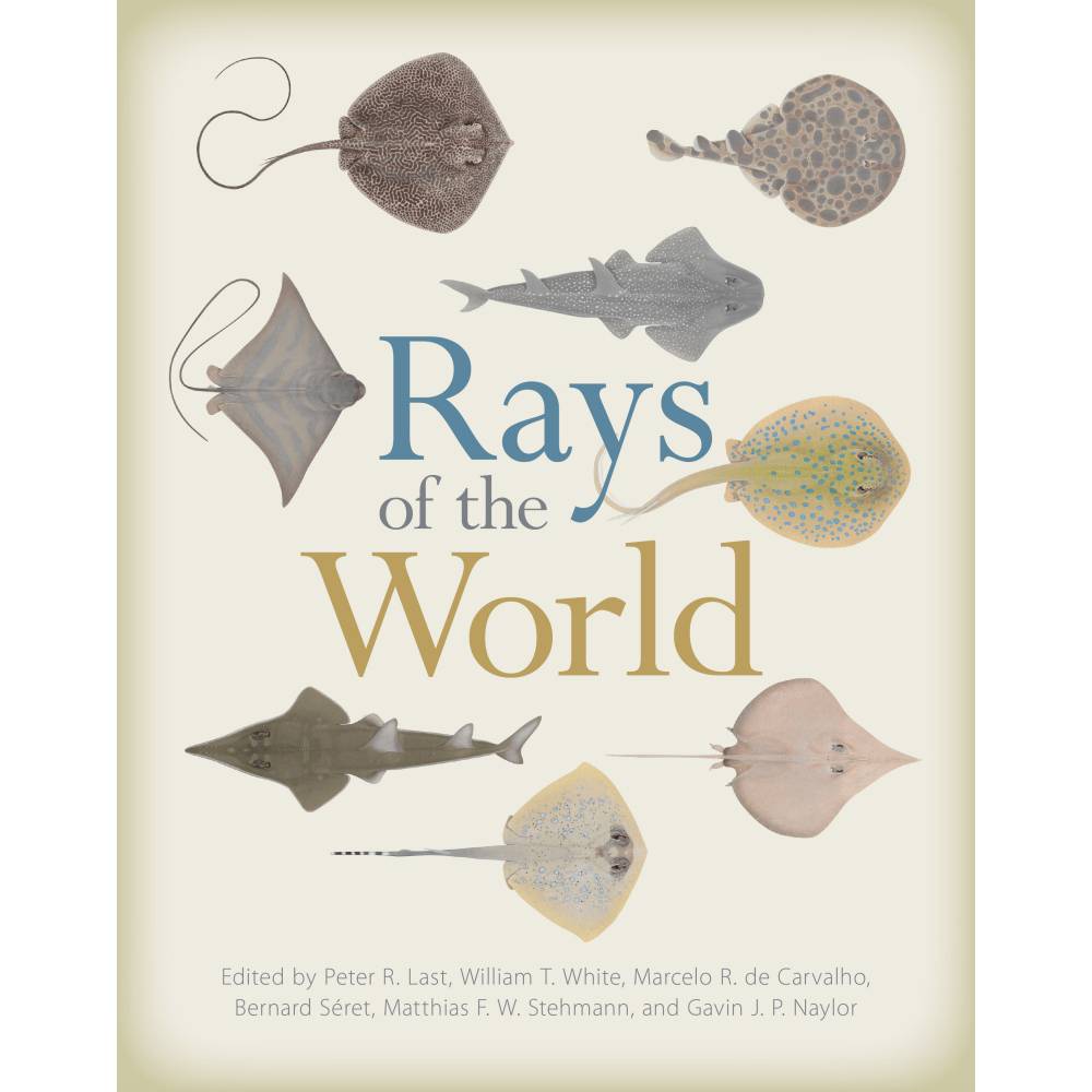 Rays of the World