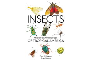 Insects and Other Arthropods of Tropical America