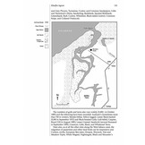 Where to Watch Birds in Morocco