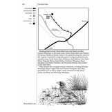 Where to Watch Birds in Morocco