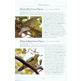 A Naturalist’s Guide to the Birds of China - Southeast, including Shanghai