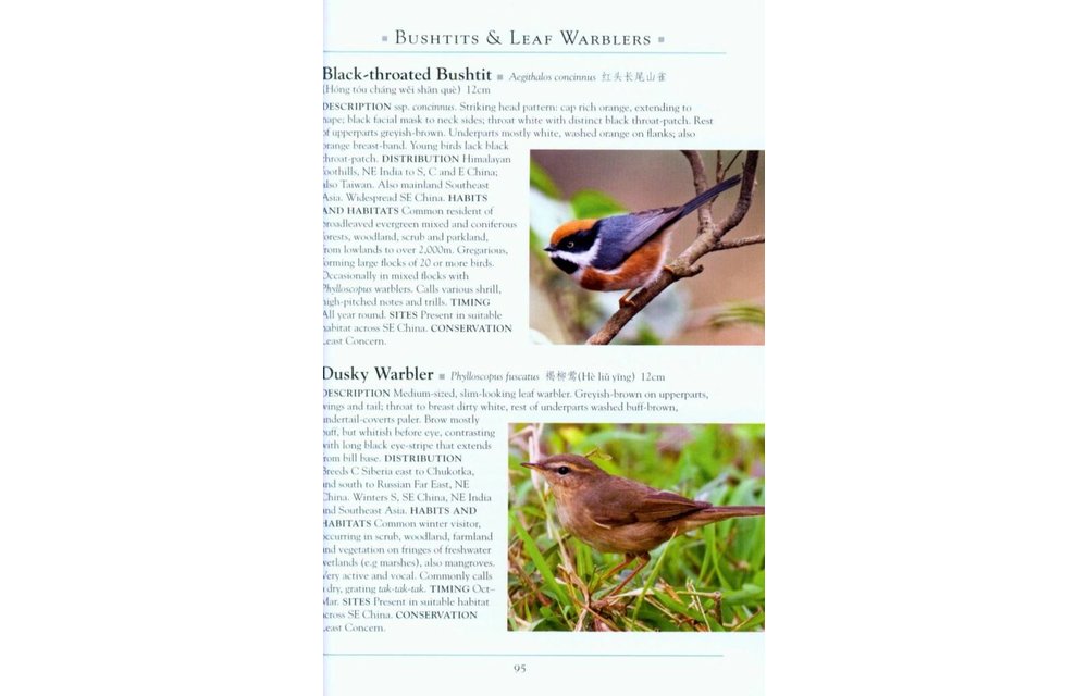 A Naturalist’s Guide to the Birds of China - Southeast, including Shanghai