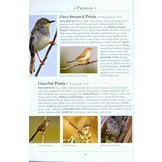 A Naturalist’s Guide to the Birds of India - Pakistan, Nepal, Bhutan and Sri Lanka