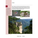 Crossbill Guide Cévennes and Grands Causses - France