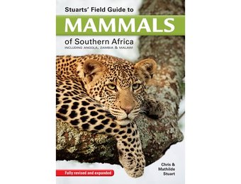 Stuarts' Field Guide to Mammals of Southern Africa