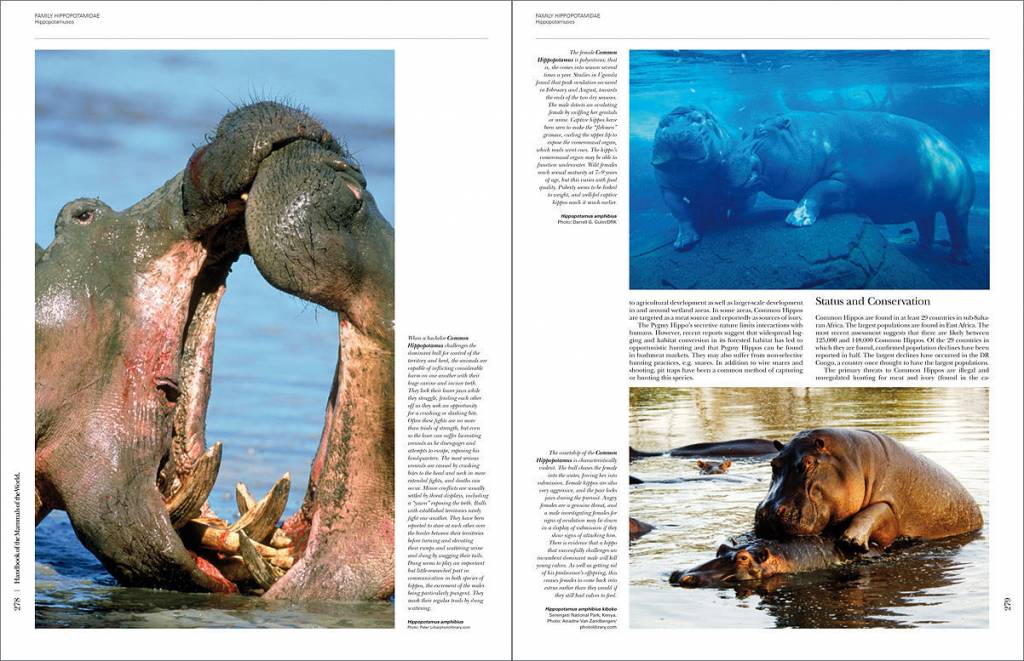 Handbook of the Mammals of the World, Vol. 2: Hoofed Mammals