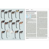 Handbook of the Mammals of the World, Vol. 3: Primates