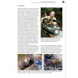 De Nederlandse Rivierkreeften (Astacoidea en Parastacoidea)