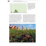 De Nederlandse Rivierkreeften (Astacoidea en Parastacoidea)