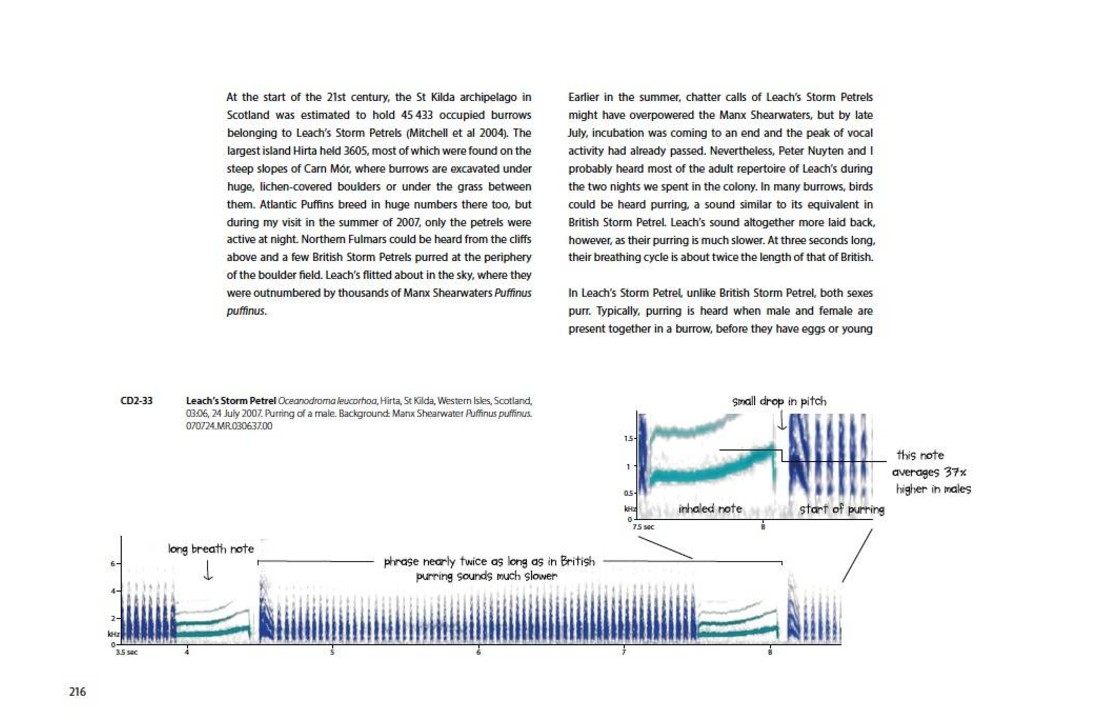 Petrels Night And Day - A Sound Approach Guide