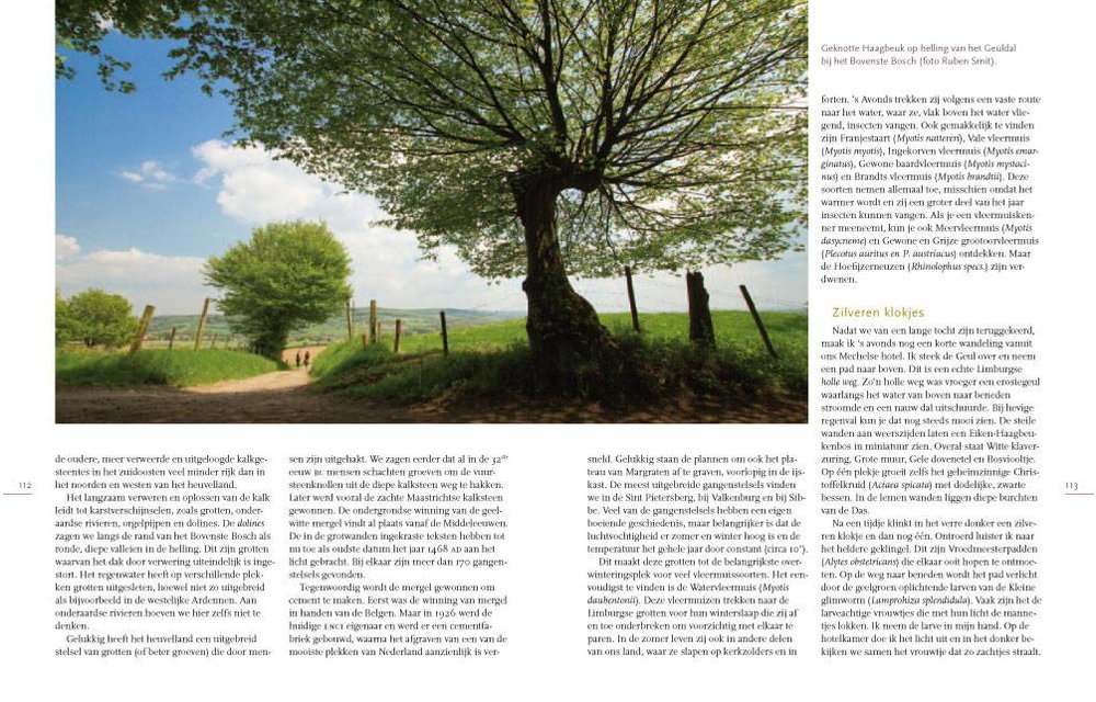 Natuur in Nederland