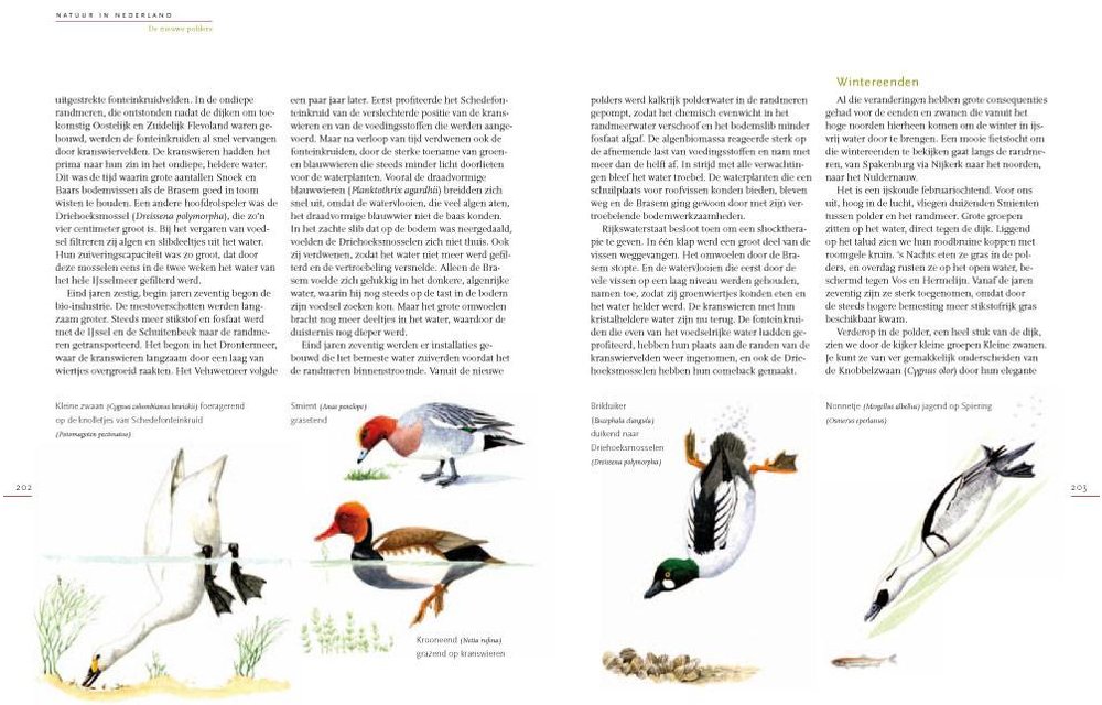 Natuur in Nederland