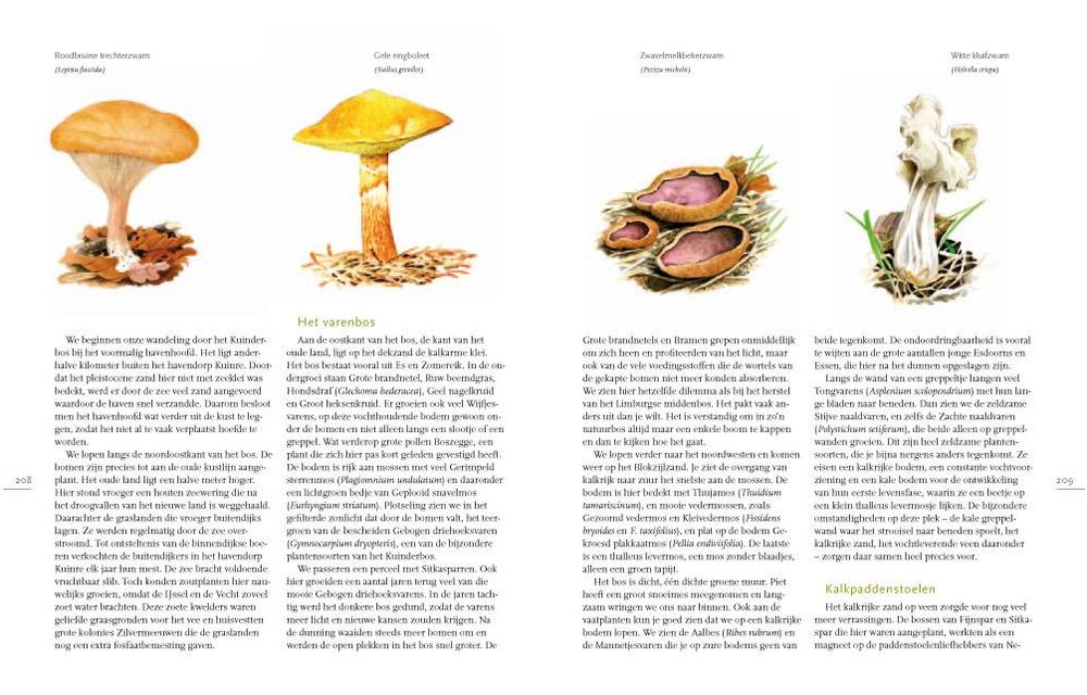 Natuur in Nederland