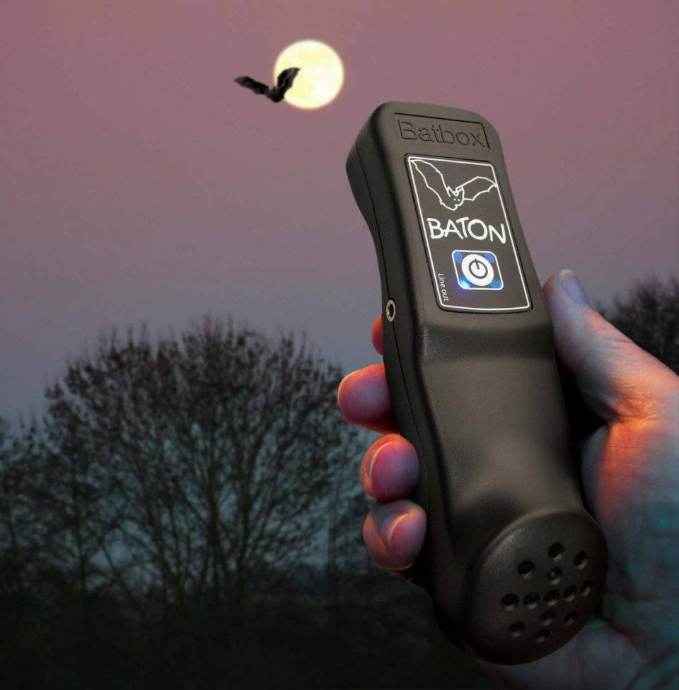 Baton Bat Detector