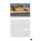 Birds of Aruba, Bonaire, and Curaçao - A Site and Field Guide