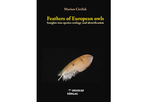 Feathers of European Owls: Insights into Species Ecology and Identification