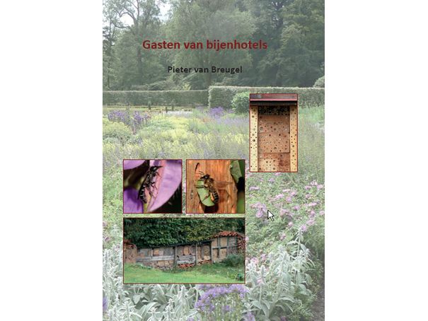 Gasten van bijenhotels