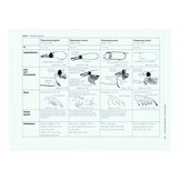 Marine Plankton: A Practical Guide to Ecology, Methodology, and Taxonomy