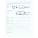 Marine Plankton: A Practical Guide to Ecology, Methodology, and Taxonomy