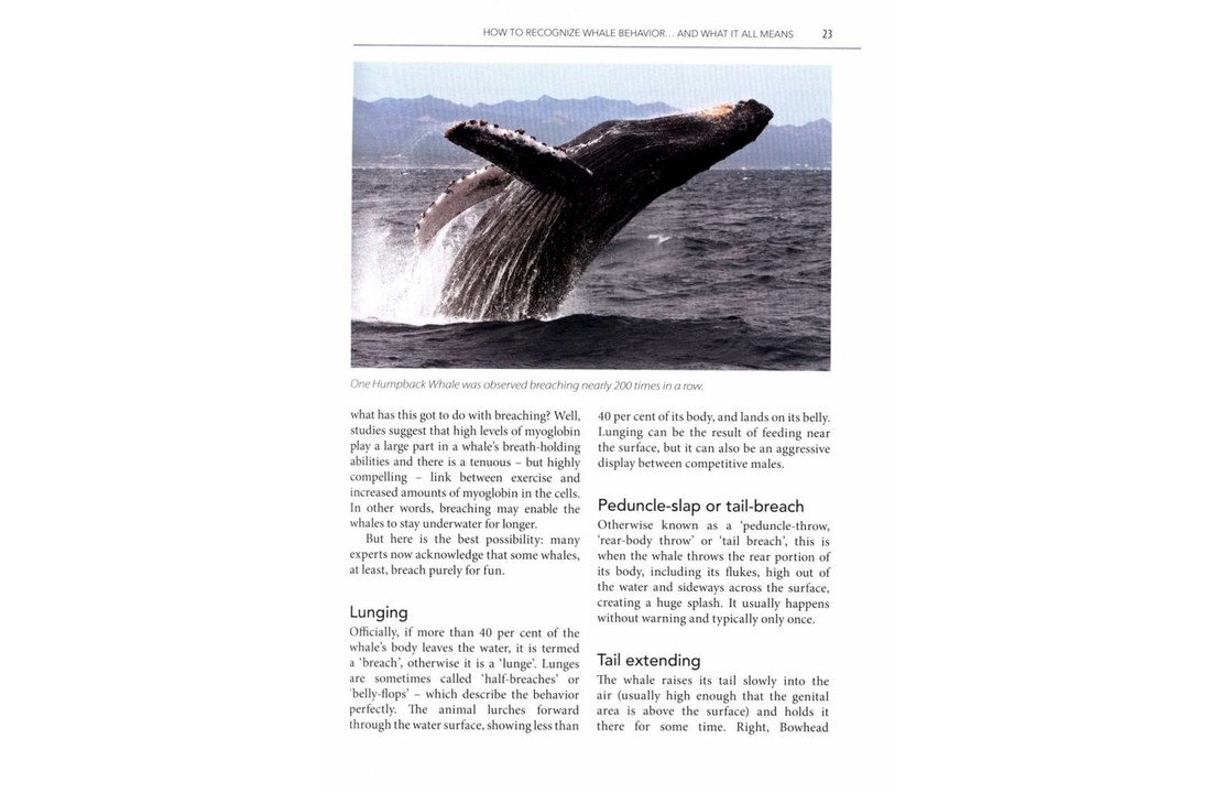 Mark Carwardine's Guide to Whale Watching in North America- USA - Canada - Mexico