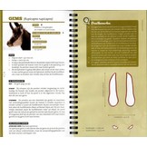 Wild van sporen - Hoefdieren