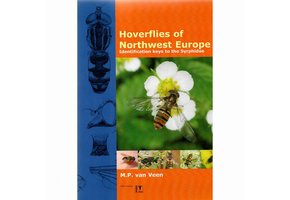 Hoverflies of Northwest Europe