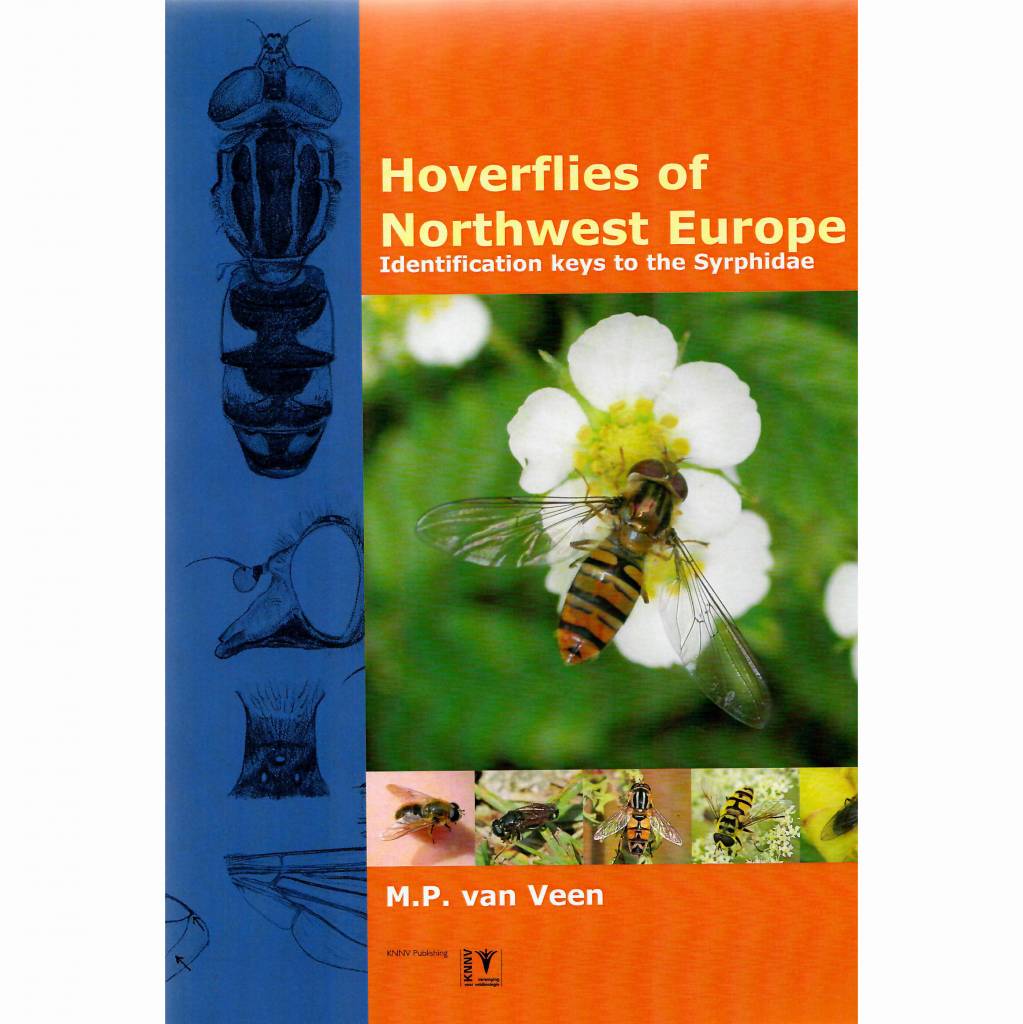 Hoverflies of Northwest Europe