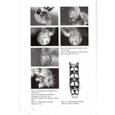 Hoverflies of Northwest Europe