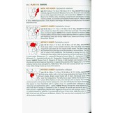 The Kingdon Field Guide to African Mammals