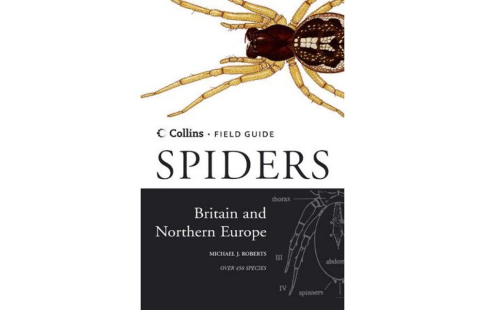 Collins Field Guide of Spiders of Britain and Northern Europe