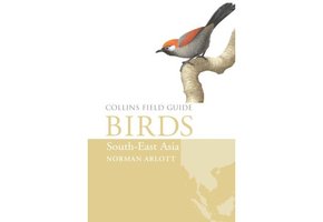 Birds of South-East Asia