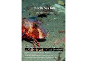 North Sea Fish and their remains