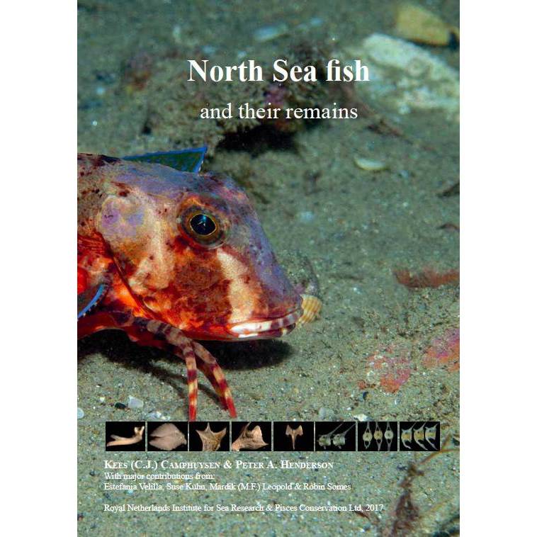 North Sea Fish and their remains