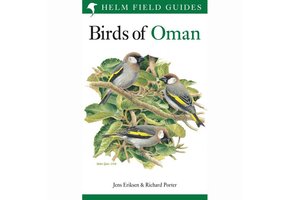 Birds of Oman
