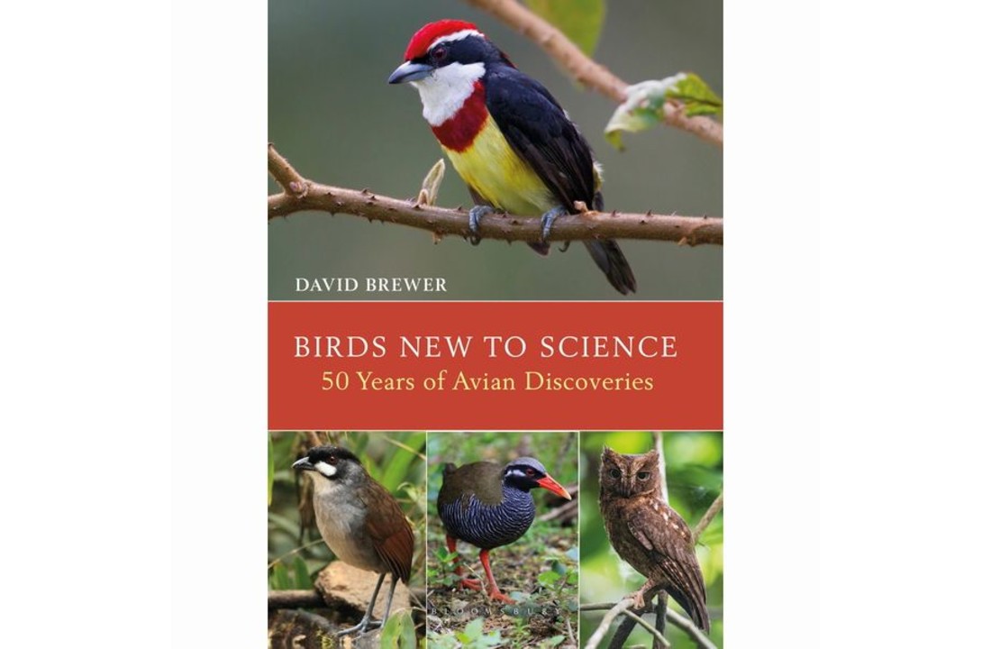 Birds New to Science - Fifty Years of Avian Discovery