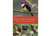 Birds New to Science