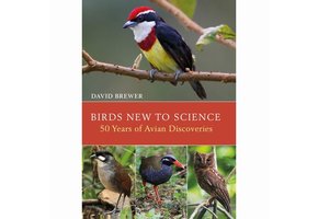 Birds New to Science