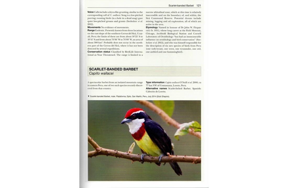 Birds New to Science - Fifty Years of Avian Discovery