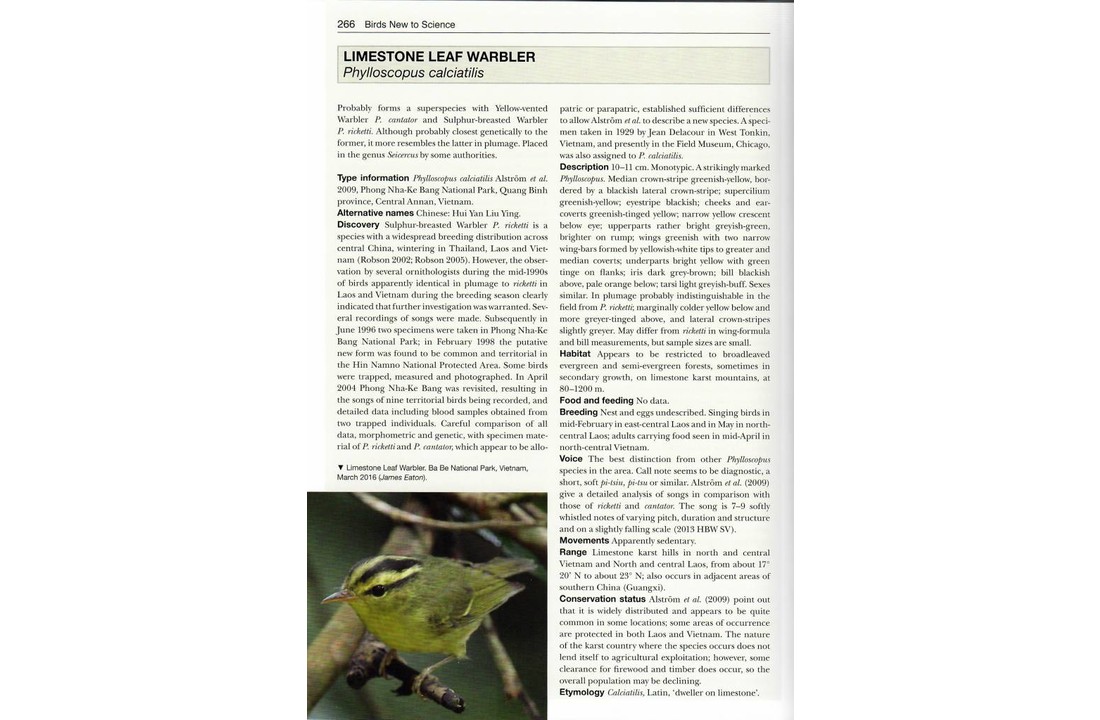 Birds New to Science - Fifty Years of Avian Discovery