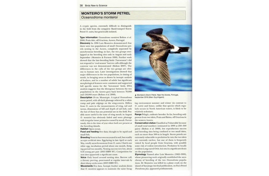 Birds New to Science - Fifty Years of Avian Discovery