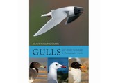 Gulls of the World