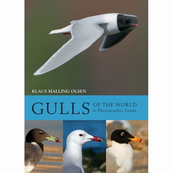 Gulls of the World - A Photographic Guide