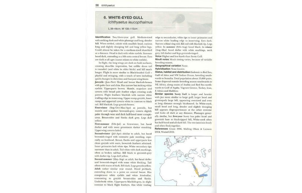 Gulls of the World - A Photographic Guide