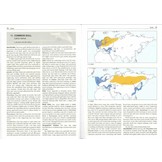 Gulls of the World - A Photographic Guide