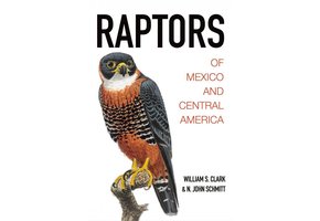 Raptors of Mexico and Central America